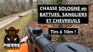 CHASSE SOLOGNE en BATTUES  TIRS DE 4 SANGLIERS et 2 CHEVREUILS à 10m [upl. by Neret20]