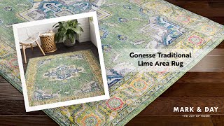 Gonesse Traditional Lime Area Rug [upl. by Adnawt]