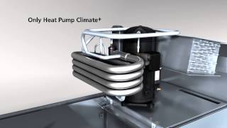 Winterhalter Conveyor dishwasher  Heat Pump [upl. by Vasti715]