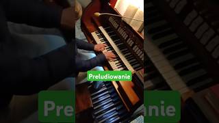 czy poznajesz motyw organista organy orgel improvisation liturgia [upl. by Kimble233]