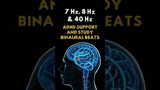 7Hz 8Hz and 40Hz Binaural Beats for Intense Focus  Binaural Beats for ADHD amp Study [upl. by Refiffej]