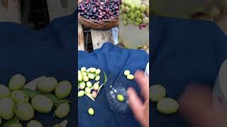 Preparazione delle Olive Verdi o Nere Schiacciate [upl. by Wiencke]