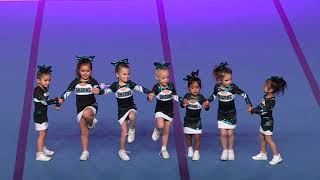 Cheer Sport Pocket Sharks Tiny Prep 1 [upl. by Audry920]