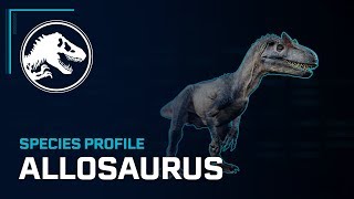 Species Profile  Allosaurus [upl. by Salkin]