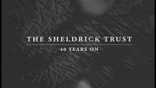 The Sheldrick Trust  40 years on  Sheldrick Trust [upl. by Popelka452]