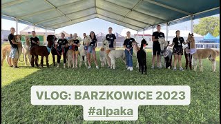 VLOG Barzkowice 2023 alpaka [upl. by Gunter]