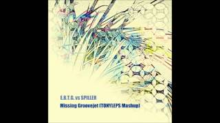 Spiller vs EBTG  Missing Groove TONYLEPS Mashup [upl. by Dyan]