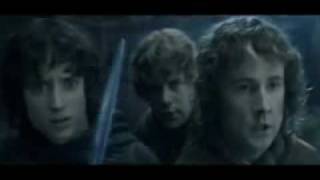 Lord of the Rings  Fellowship of the Vuvuzela Portuguese Subs [upl. by Ardnic]