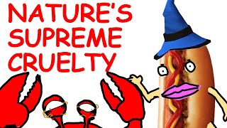 Why is ‘Barnacles’ a Swear Word to Mr Krabs  HOTDOG HISTORY HALLOWEEN SPECIAL [upl. by Alfie]