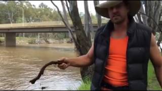 Murrumbidgee River [upl. by Festatus]