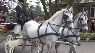 Schützenfest HandorfLangenberg Umzug 2016 [upl. by Damle]