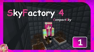 NEW SERIES quotA Little Tightquot  Ep1  Sky Factory 4 Compact Sky Minecraft Modpack [upl. by Thamos]