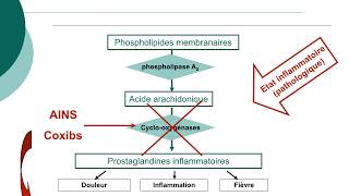 Pharmacologie des AINS et des corticoïdesCours commenté [upl. by Neelram420]