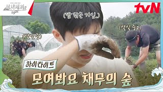 영웅 씨 우선 들어봐ㅎ 우리한테 채무가 있는데 highlight 삼시세끼Light EP2 [upl. by Conchita]