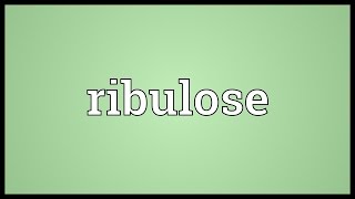 Ribulose Meaning [upl. by Greabe]