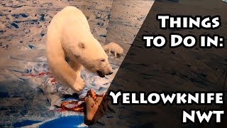 A few things to do in Yellowknife NWT [upl. by Nathanial]