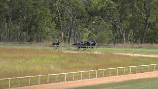 Mareeba Race 2  17th July 2021 [upl. by Clarinda76]