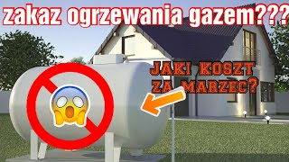 Zakaz kotłów gazowych  koszt ogrzewania marzec 2024 [upl. by Oslec83]