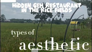 Hidden gem restaurant in RICE FIELDS What i eat there PART 2 [upl. by Eilime]