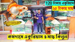 Aquarium price in Bangladesh 2023 🐟 Aquarium fish price in Bangladesh  Cheap Price Aquarium [upl. by Roselin]