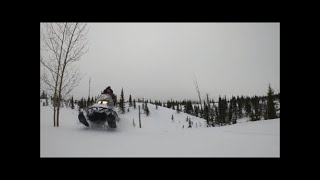 SKANDIC SWT 900 Ace  Ptarmigan Hunting In Deep Snow [upl. by Ardath]