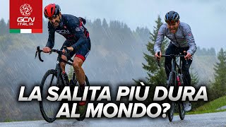 Zoncolan è la salita più dura del ciclismo moderno [upl. by Ellahcim239]