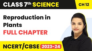 Reproduction in Plants  One Shot Full Chapter Revision  Class 7 Science Chapter 12 [upl. by Keelin]