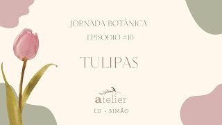 Jornada Botânica episódio 10  Tulipas [upl. by Siriso476]