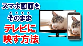 誰でも簡単！スマホとテレビを繋ぐ方法「ミラーリング」に必要なアイテムと有線・無線での接続方法を完全解説 [upl. by Damiano618]