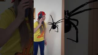 OMG Super Giant SPIDER🕷️ by Super Max in room🤷🤪😱funny shorts [upl. by Willabella541]