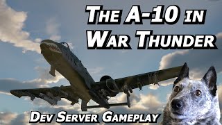 TOTALLY UNBIASED A10 Warthog Impressions in War Thunders Dev Server  Real Pilot Plays War Thunder [upl. by Yrrem352]