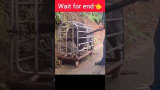 Wait for end Next me 🤣🤣😅😅 viralvideo end comedy funnyvideo youtubeshorts [upl. by Pansie178]