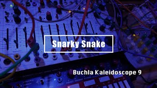 Buchla Kaleidoscope 9  Snarky Snake Buchla Easel Command Chase Bliss Thermae MOOD MKII etc [upl. by Alvin]