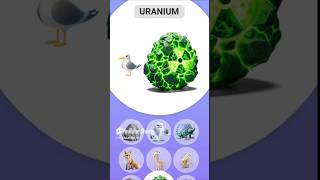 Sea gull  uranium 🇮🇳🔥shorts youtubeshorts [upl. by Anauqcaj]