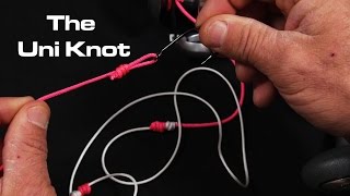 The Only Fishing Knot You Need  The Uni Knot  Saltwater Experience [upl. by Lerual356]