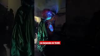 Los carnavales de noche [upl. by Naenaj]