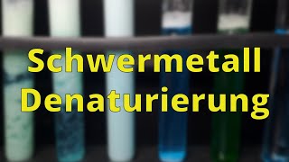 Denaturierung durch Schwermetalle  Bio Experimente [upl. by Alli]