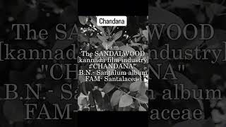 Chandana  BN Santalum album  Fam Santalaceae [upl. by Celinka]