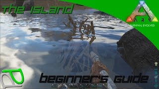 Beaver Dam Pillaging Ark Survival beginners Guide S2E10 [upl. by Diogenes]