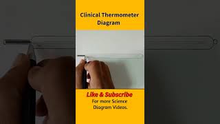 Clinical Thermometer Diagram clinicalthermometer thermometer class7 [upl. by Gesner]