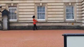 Guardsman in Trouble Over Buckingham Palace Pirouette  Forces TV [upl. by Eizdnil]