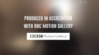 BBC Motion Gallery24 SnailsKM RecordsStorrs MediaTelco Productions Logo [upl. by Eenahpets]