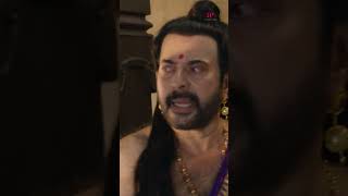 Watch👆 Mamangam Super Scenes mamangam mammootty unnimukundan siddique anusithara shorts [upl. by Atinniuq296]