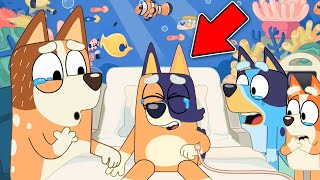 How Did Blueys OLDER BROTHER Die Deaths in BLUEY [upl. by Hisbe565]