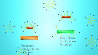 Wie Tenside in Waschmitteln funktionieren quotAnimationquot [upl. by Gipps]