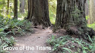 Grove of the Titans [upl. by Yusem255]