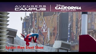 Spider Man Stunt Show at Avengers Campus [upl. by Assenal]