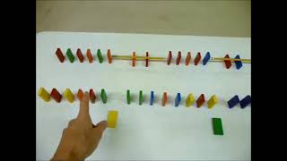 Saltatory conduction demo using dominoes [upl. by Yehsa]