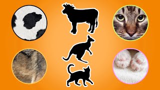 Guess The Animal For Kids  Animal Guessing Quiz For Kids  Ultimate Guessing Games for Kids Part 2🐾 [upl. by Remos]