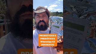 PISCICULTURA COM PROBIÓTICOS E PREBIOTICOS [upl. by Ahsoik]